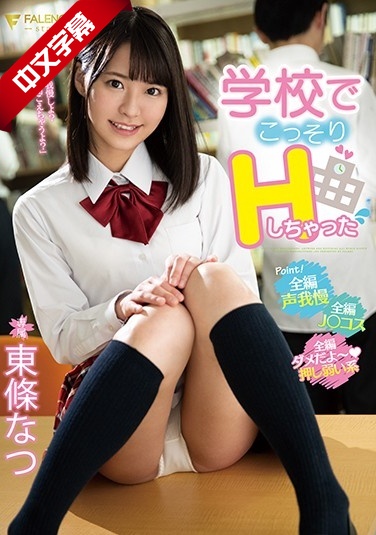 FSDSS-034 学校でこっそりHしちゃった